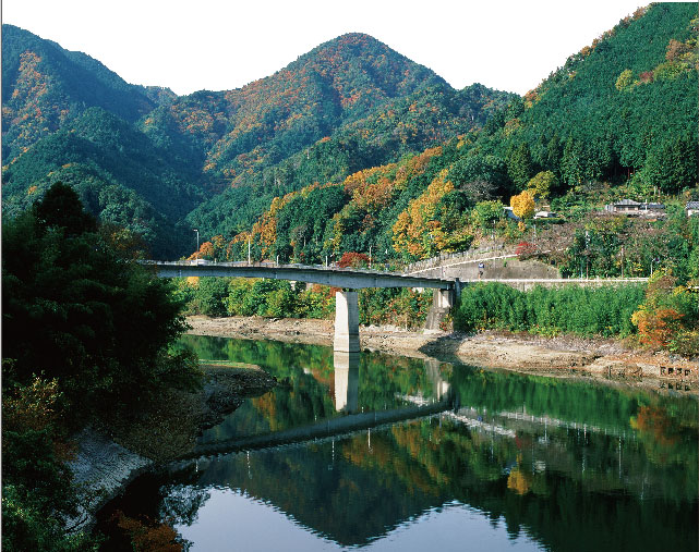 光滝寺キャンプ場 滝畑湖畔バーベキュー場